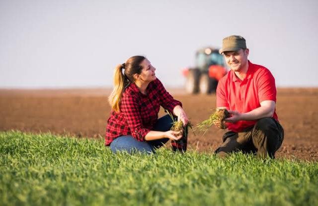 Sprijin european pentru tinerii fermieri!