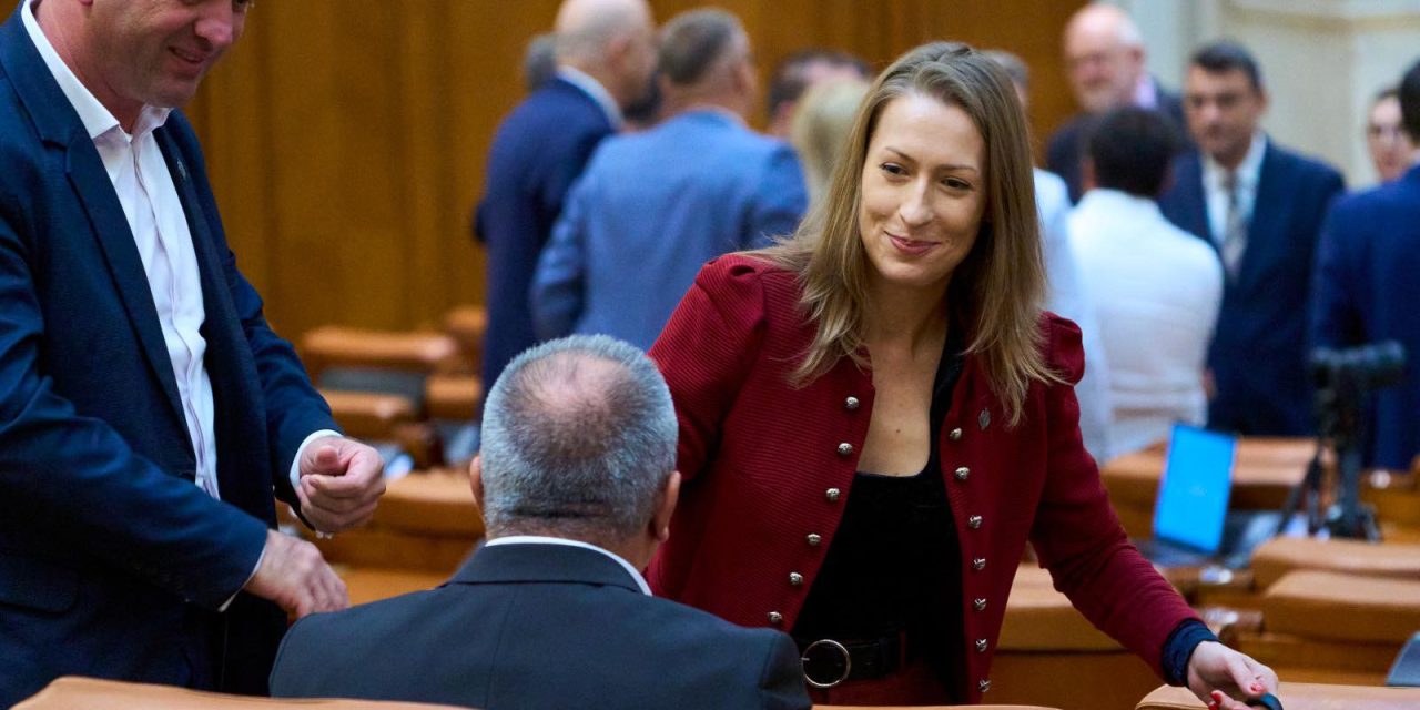 Au fost avizate favorabil trei proiecte de lege importante aflate pe ordinea de zi a Comisiei pentru egalitate de șanse între femei și bărbați