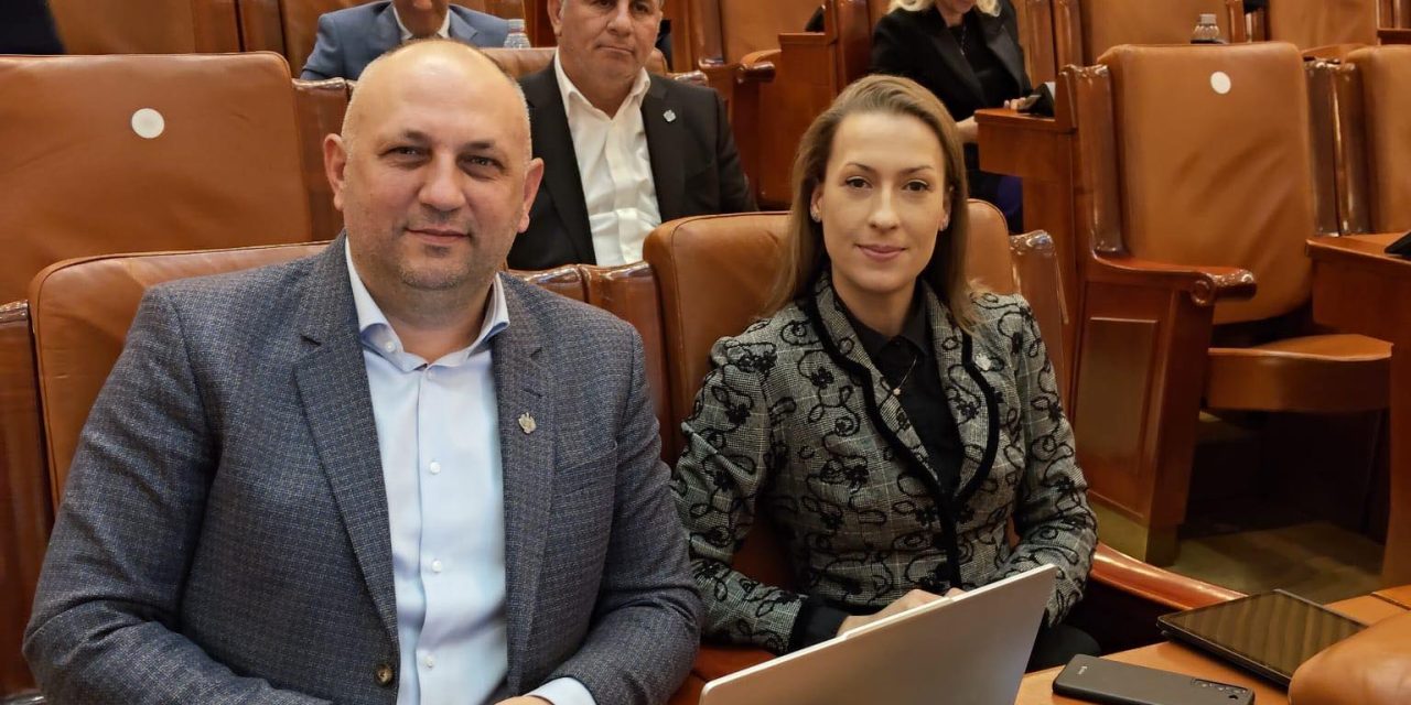 Sprijinul social pentru mame și nou-născuți și protecția victimelor violenței domestice