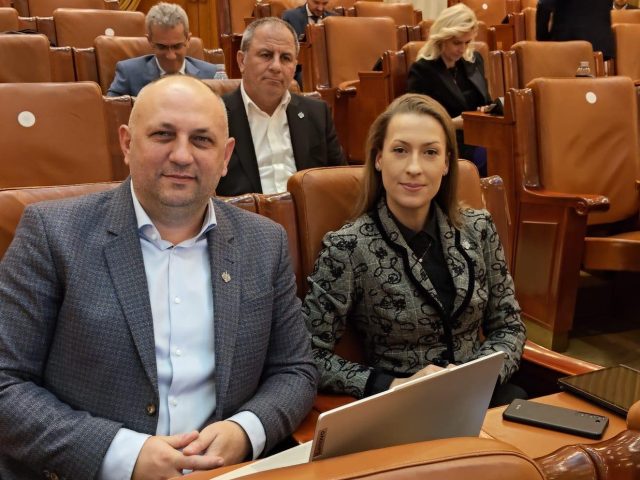 Sprijinul social pentru mame și nou-născuți și protecția victimelor violenței domestice