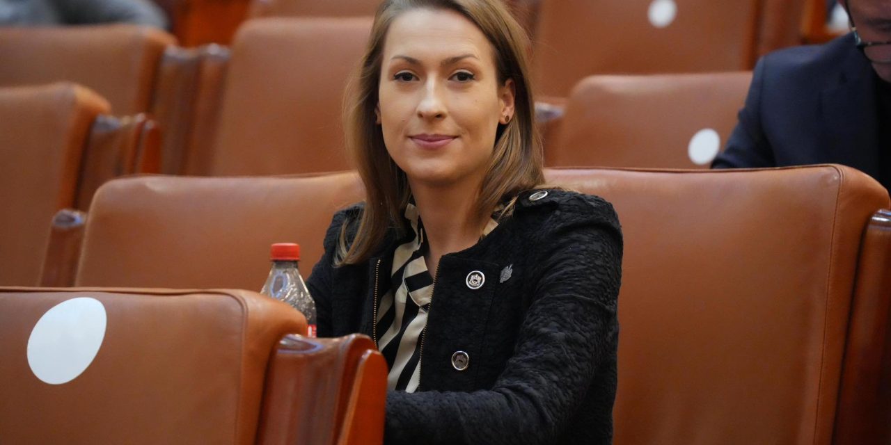 Legi adoptate în Camera Deputaților pentru protecție socială, tranziție energetică și reducerea birocrației