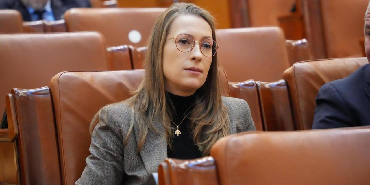 Avize favorabile pentru inițiative legislative în domeniul protecției sociale și educației