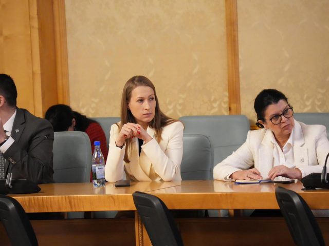 Activitate în Comisia pentru egalitatea de șanse pentru femei și bărbați