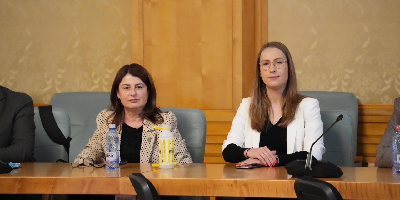 Activitate în Comisia pentru egalitatea de șanse pentru femei și bărbați