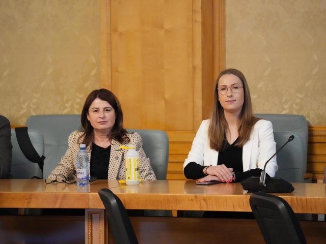 Activitate în Comisia pentru egalitatea de șanse pentru femei și bărbați