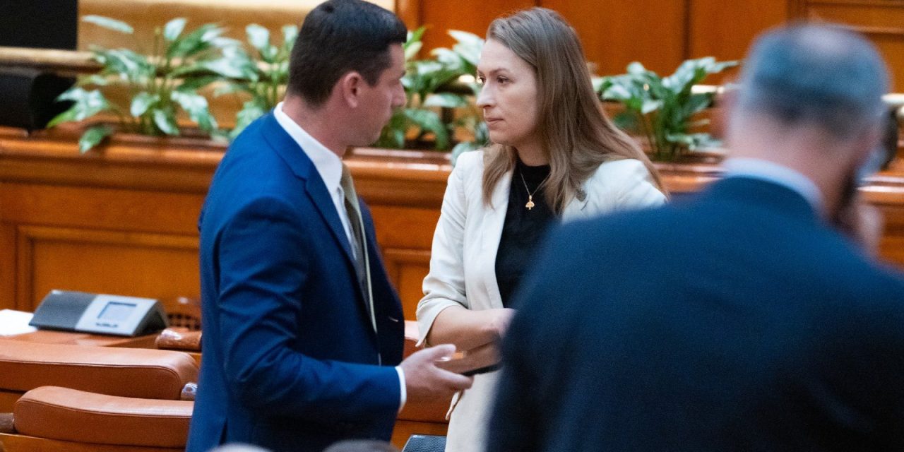 Legi pentru incluziune și sprijinirea apiculturii: măsuri adoptate pentru persoanele cu dizabilități și apicultorii români