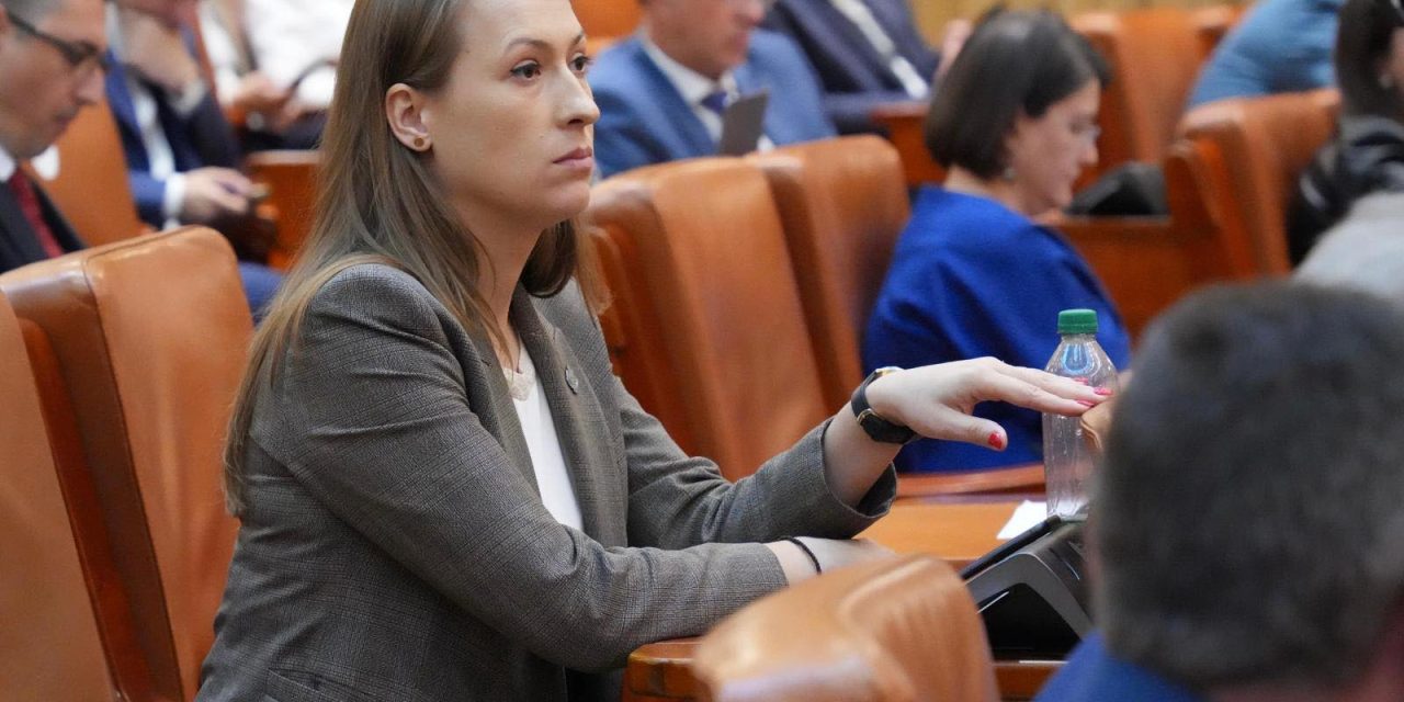 Legi pentru societatea civilă, educație și justiție: proiecte adoptate cu impact asupra democrației și dezvoltării României