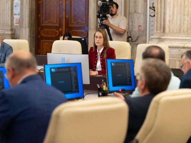 Activitate în Comisia pentru egalitatea de șanse pentru femei și bărbați